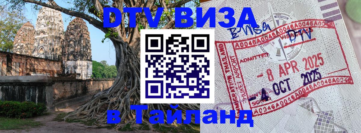 Оформление DTV визы под ключ: стоимость и тарифы, только загранпаспорт - 19.11.2025 